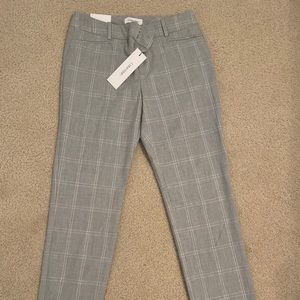 NWT Calvin Klein Trousers